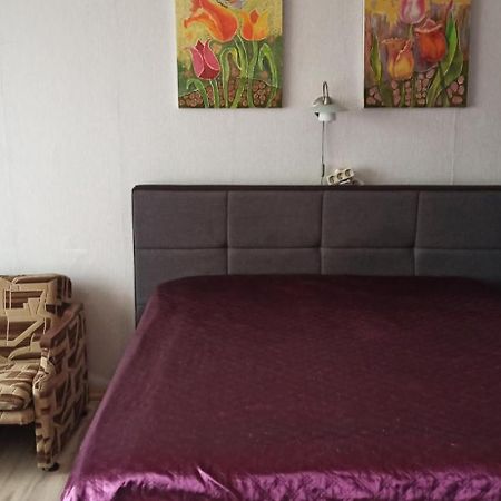 Appartamento Mama Kaunas Esterno foto